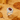 Ring All - TRPOPO